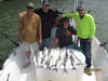 (04/14/2017) - Nice Striped Bass